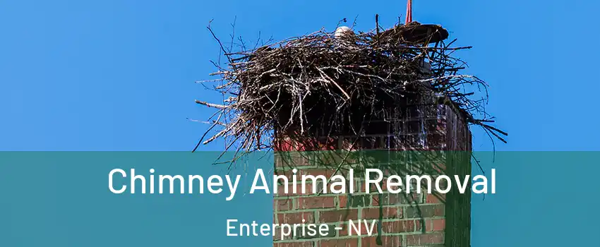 Chimney Animal Removal Enterprise - NV