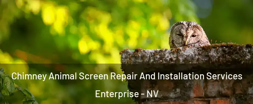 Chimney Animal Screen Repair And Installation Services Enterprise - NV