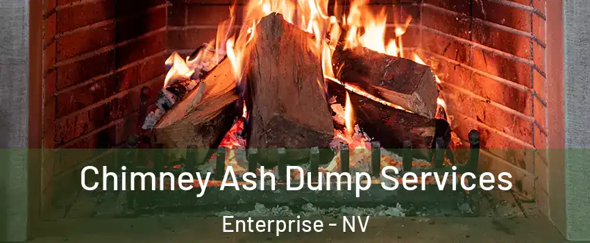 Chimney Ash Dump Services Enterprise - NV