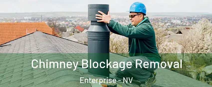 Chimney Blockage Removal Enterprise - NV