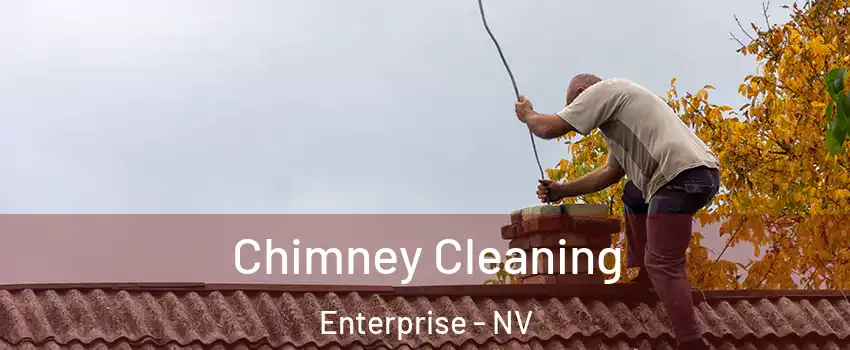 Chimney Cleaning Enterprise - NV