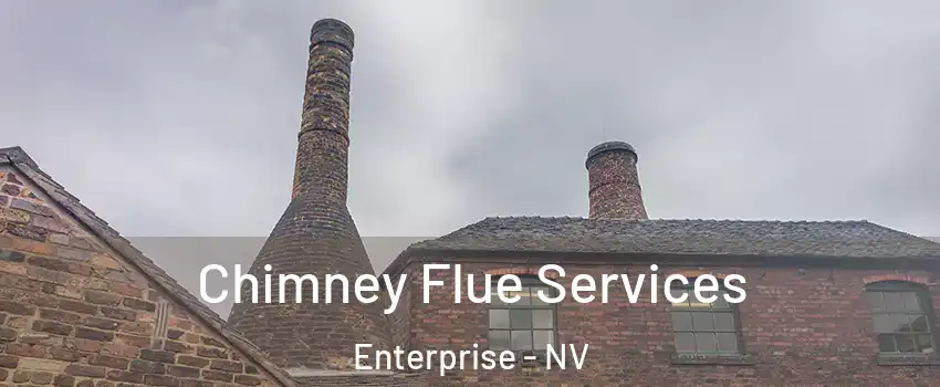 Chimney Flue Services Enterprise - NV
