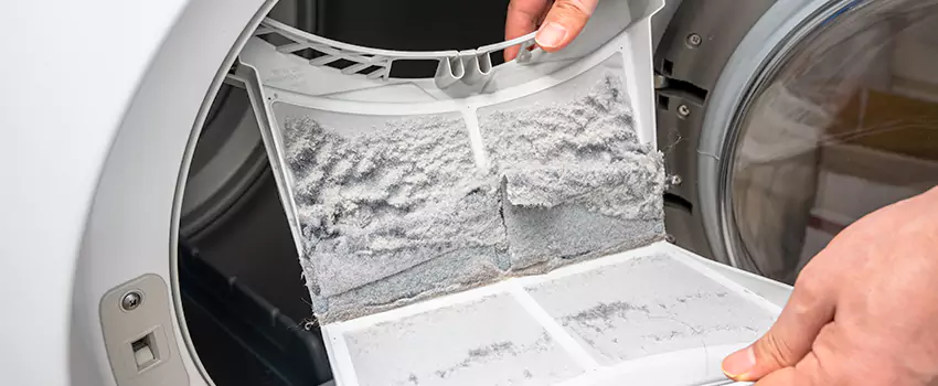 Best Dryer Lint Removal Company in Enterprise, Nevada