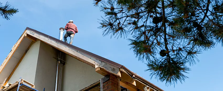 Birds Removal Contractors from Chimney in Enterprise, NV