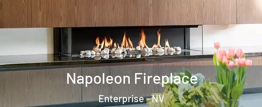 Napoleon Fireplace Enterprise - NV